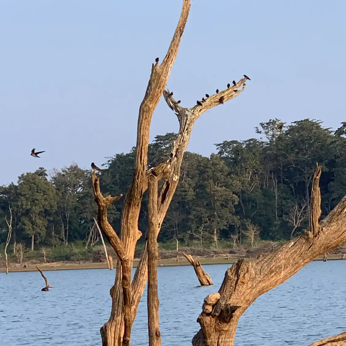 Hotels near Kabini Dam