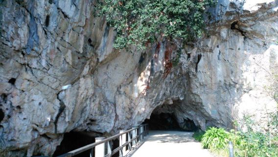 Tito Bustillo Cave