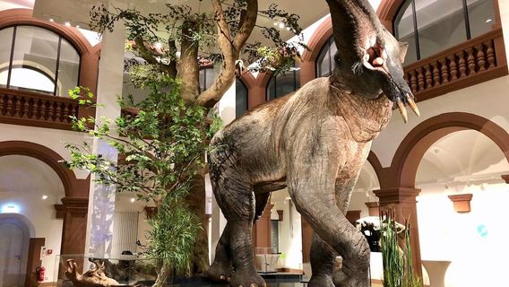 Naturhistorisches Museum Mainz