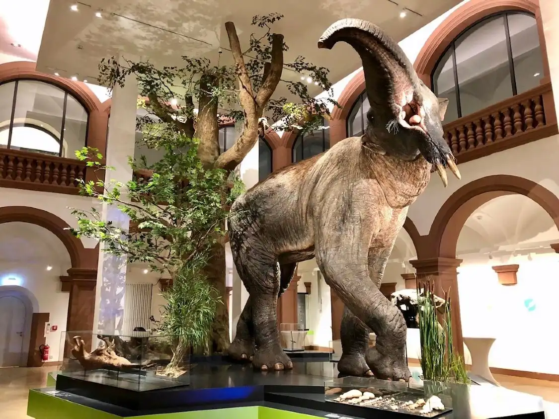 Hotels near Naturhistorisches Museum Mainz