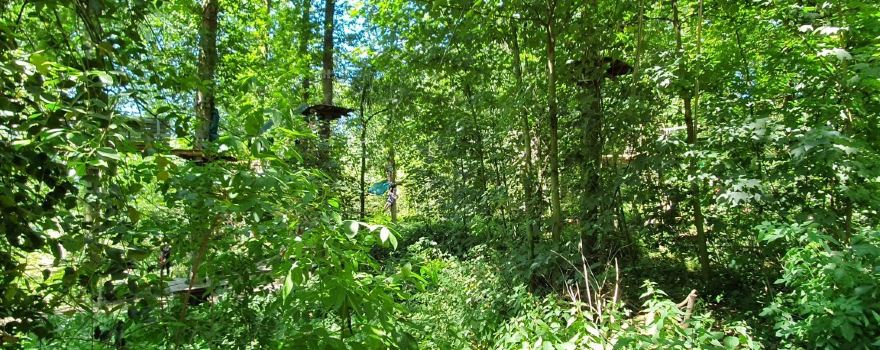 Fun Forest Venlo