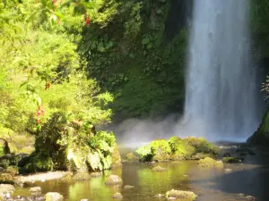 Cascadas de Tocoihue