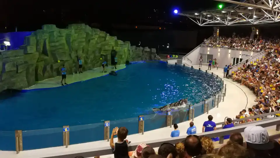 2_Batumi Dolphinarium
