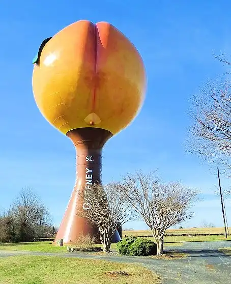 Gaffney