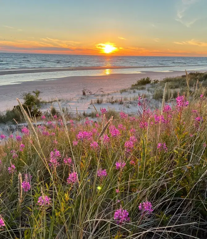 Nationalpark Gotska Sandon