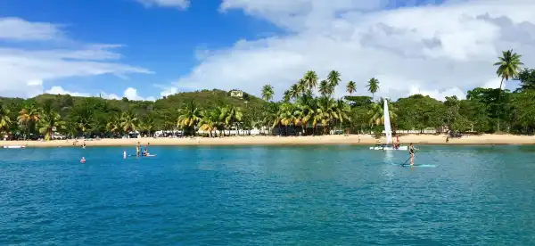 Rincon