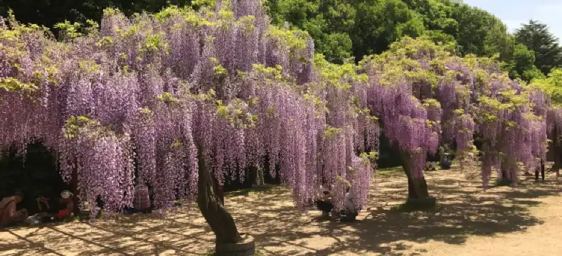 和気町のホテル