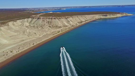 Madryn Buceo