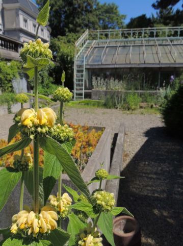 Botanical Garden