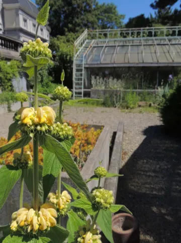 Botanischer Garten Lüttich