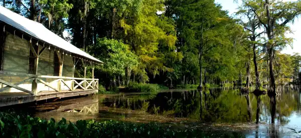 Hotels in Dillon County