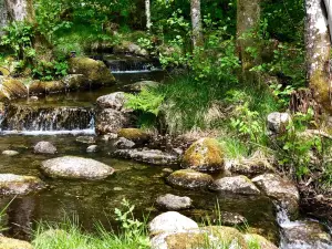 The Stone Park