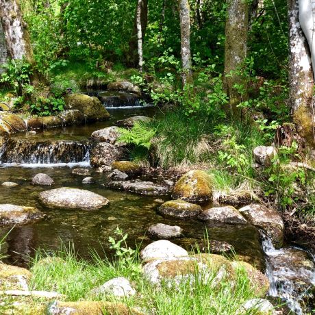 The Stone Park