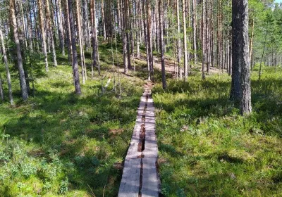 Ylojarvi