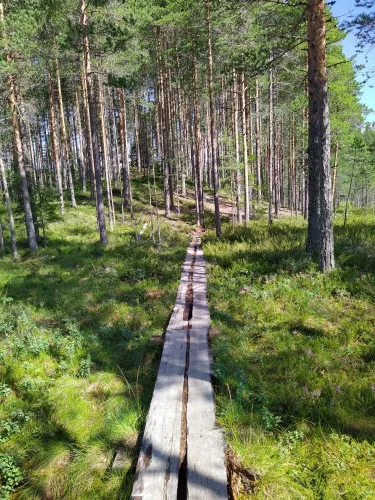 Ylojarvi