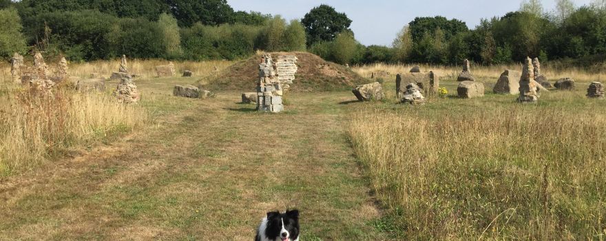 Awbridge Hill Wildlife Sanctuary