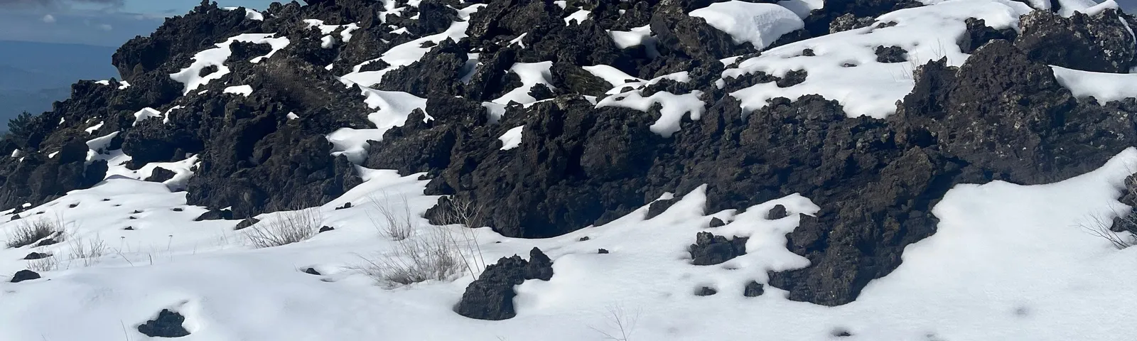 니콜로시데이 투어