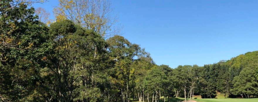 Nidom Classic Course