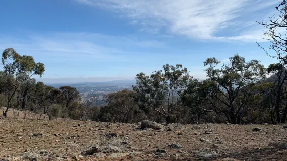 Mount Majura