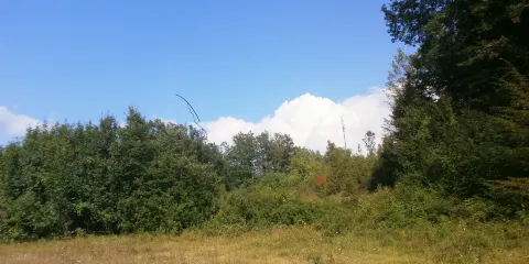 Il Giardino dei Suoni