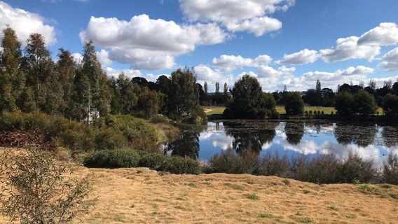 Goulburn Wetlands