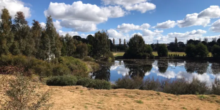 Goulburn Wetlands