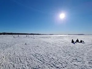 Gökaskratts camping