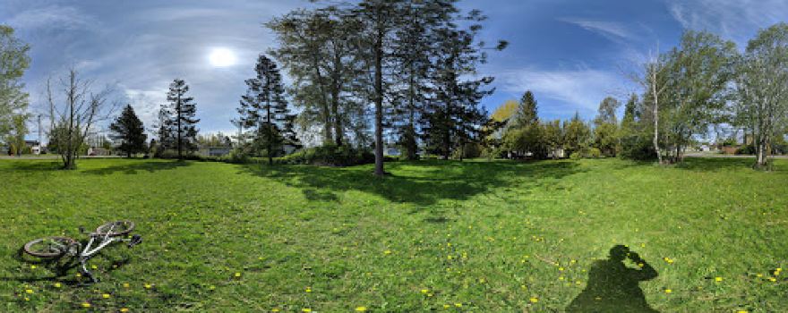 Redwood Park