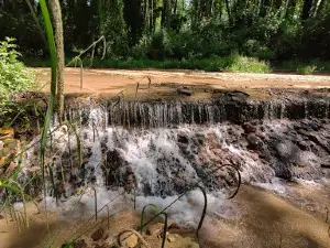 Parc Sant Salvador, Santa Coloma de Farners