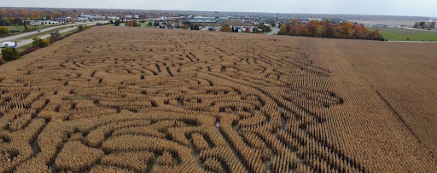 Farmer J's Corn Maze-World Record Corn Maze
