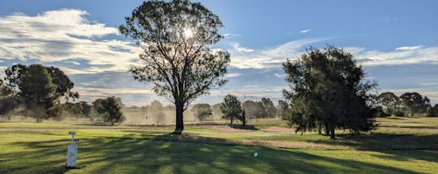 Molong Showground Campground
