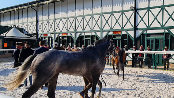 Racecourse of the Solle - Fontainebleau