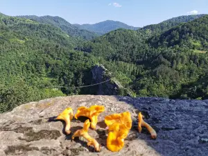 Sokolica rock