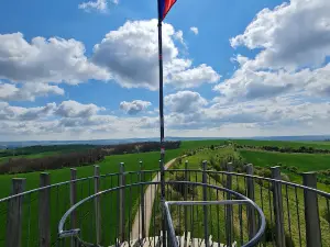 Acacia lookout tower