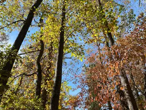 Briar Creek Park