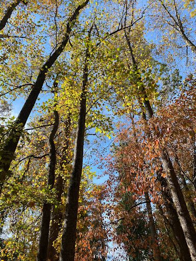 Briar Creek Park