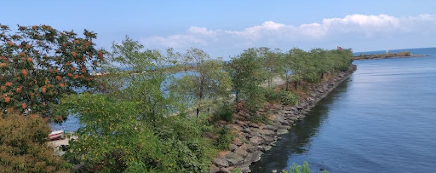 Abdulaziz Giresun Relative Park