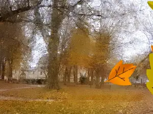 Parc de la Mairie et du Souvenir Français