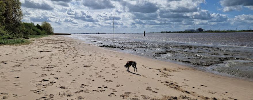 Strand Dedesdorf