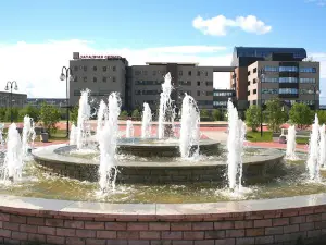 Рябиновый Бульвар