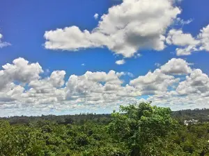 Muara Teweh Kalimantan Tengah