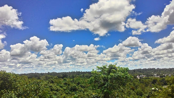 Muara Teweh Kalimantan Tengah