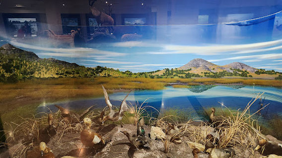 MTA Genel Müdürlüğü Şehit Cuma Dağ Tabiat Tarihi Müzesi