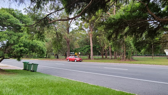 Beerwah