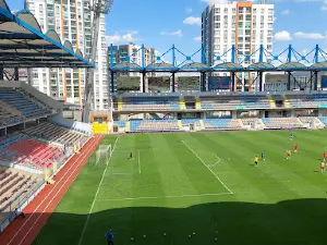 Dr. Necmettin Şeyhoğlu Stadium