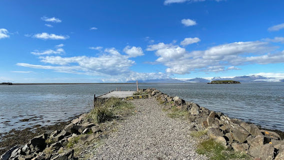 Höfn