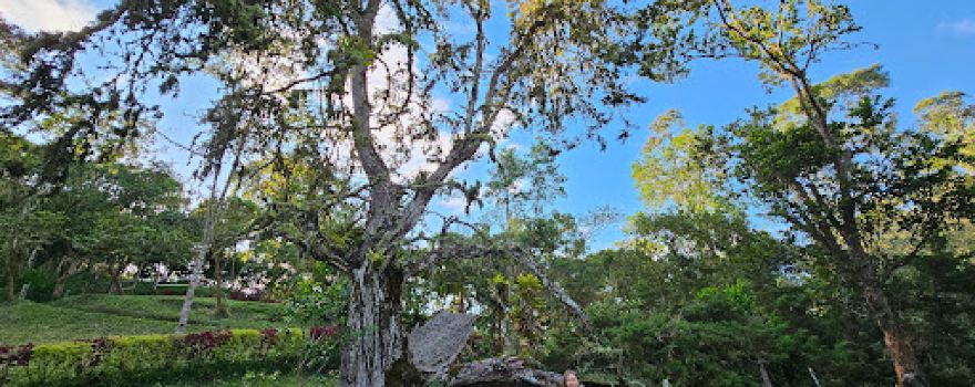 Reserva Ecologica el Vergel