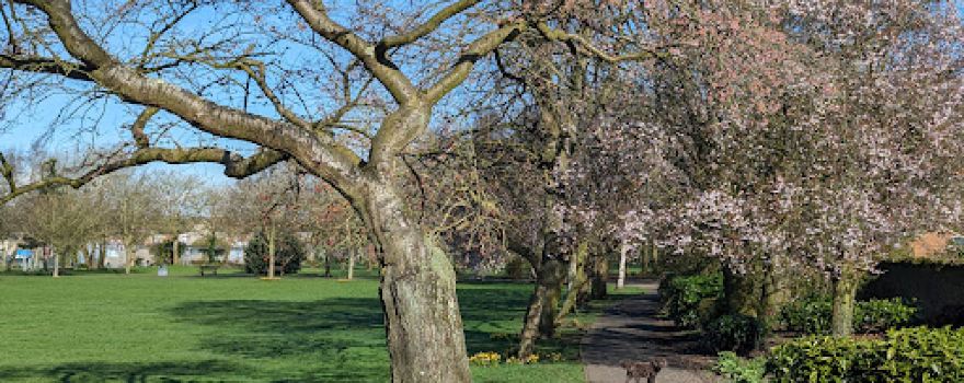 Kingsway Park