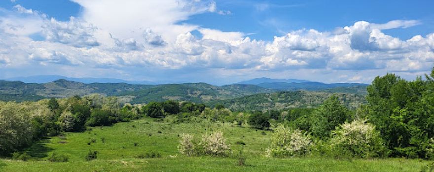View Piatra