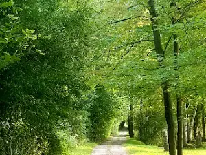Birch Valley Golf Course